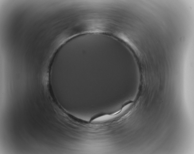 X0000088431459200706051221