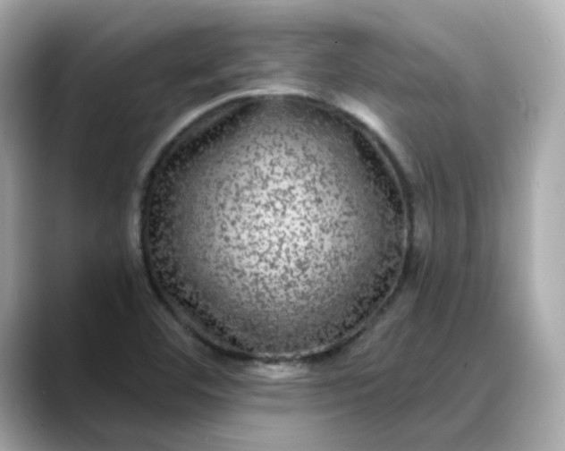 X0000088431460200706051221