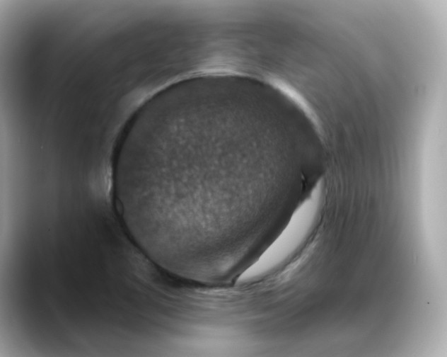 X0000088431461200706051221