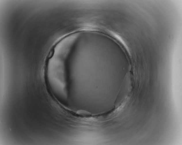 X0000088431463200706051221