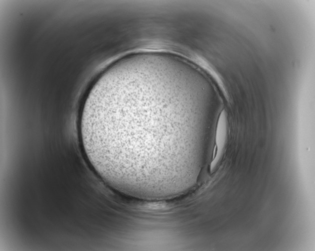 X0000088431464200706051221