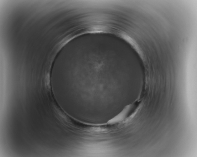 X0000088431465200706051221