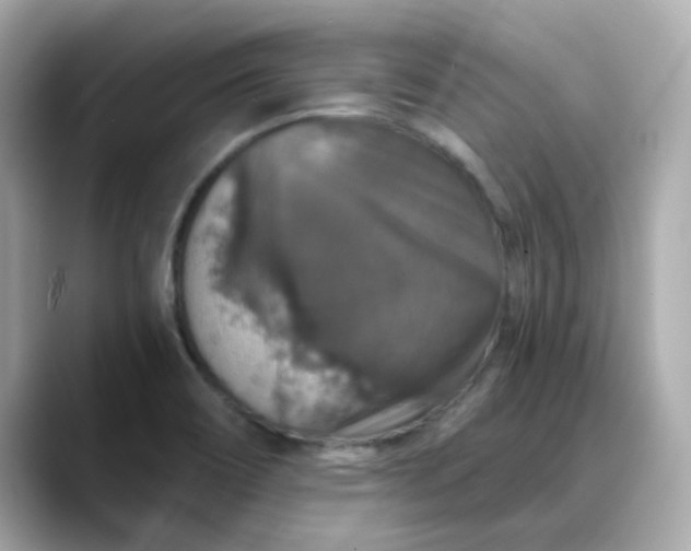 X0000088431466200706051221