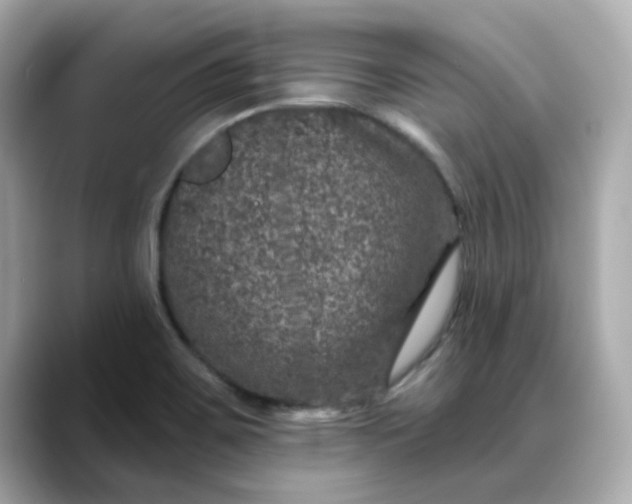 X0000088431467200706051221