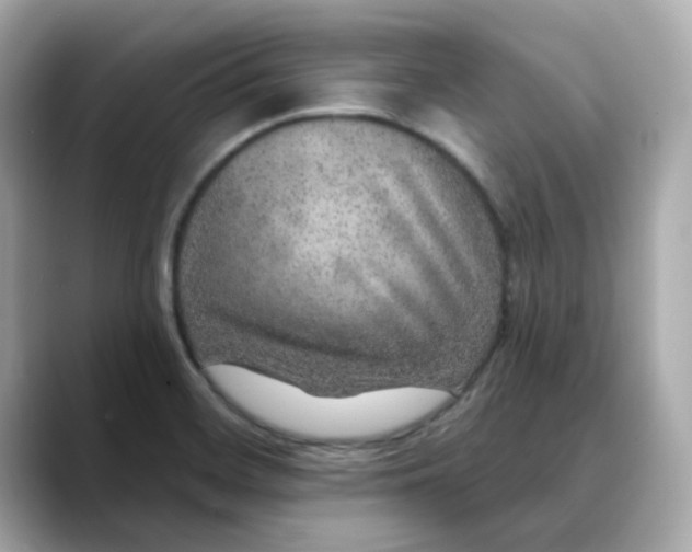 X0000088431468200706051221