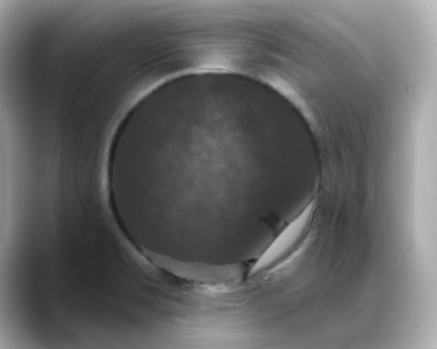 X0000088431469200706051221