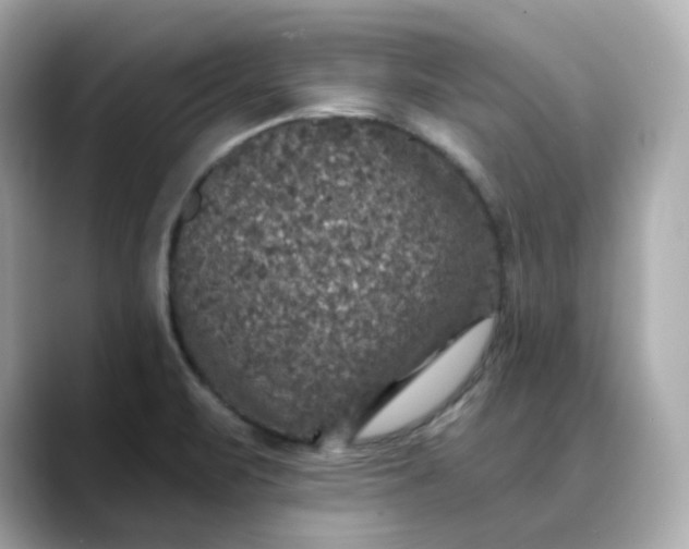 X0000088431471200706051221