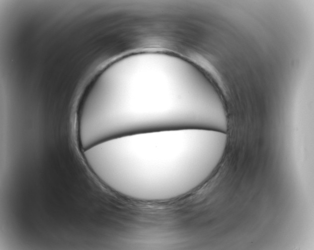 X0000088431472200706051221