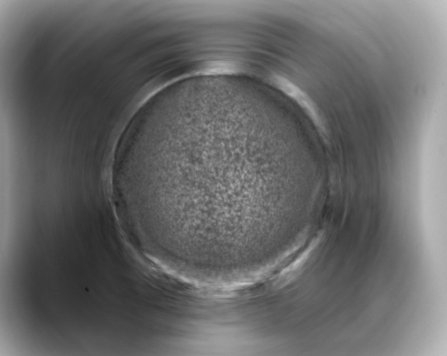 X0000088431473200706051221