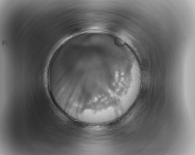 X0000088431474200706051221