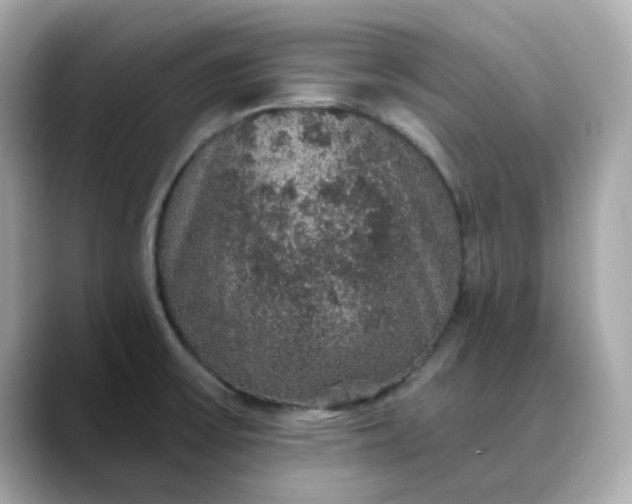 X0000088431475200706051221