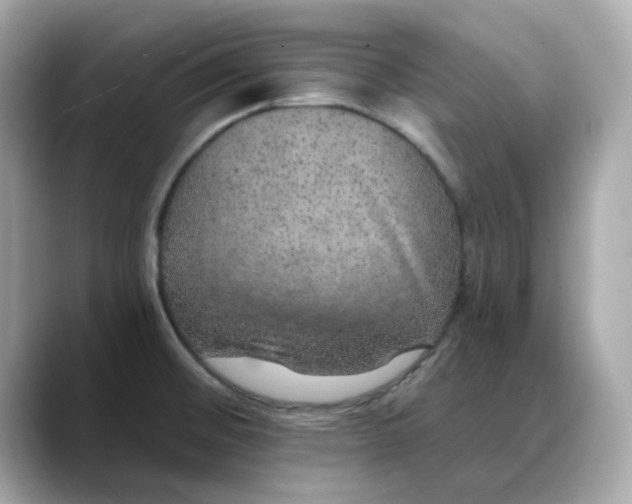 X0000088431476200706051221