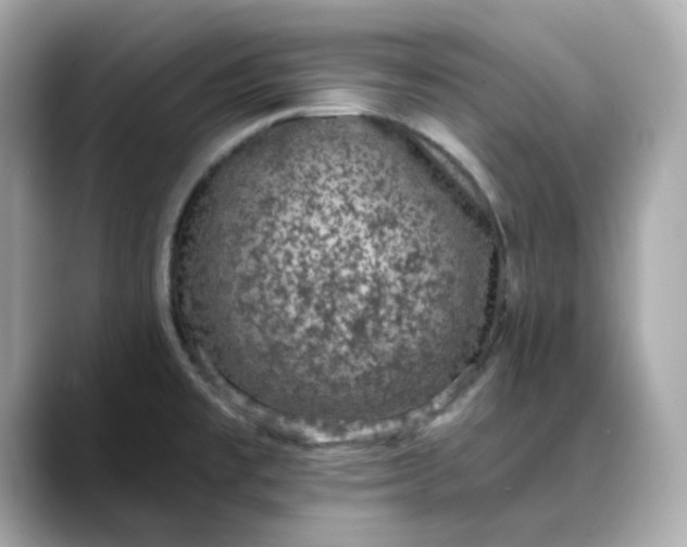 X0000088431477200706051221