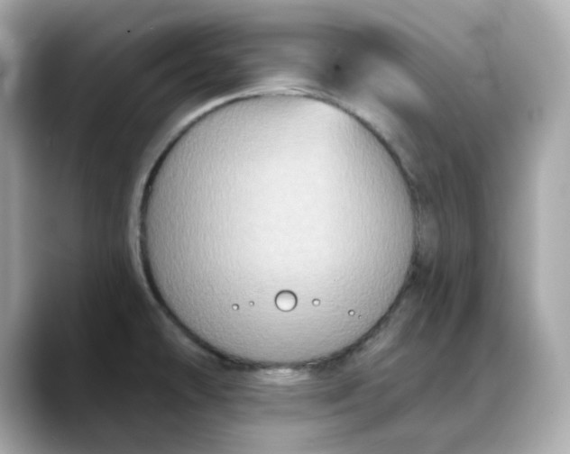 X0000088431478200706051221