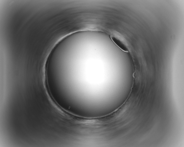 X0000088431479200706051221