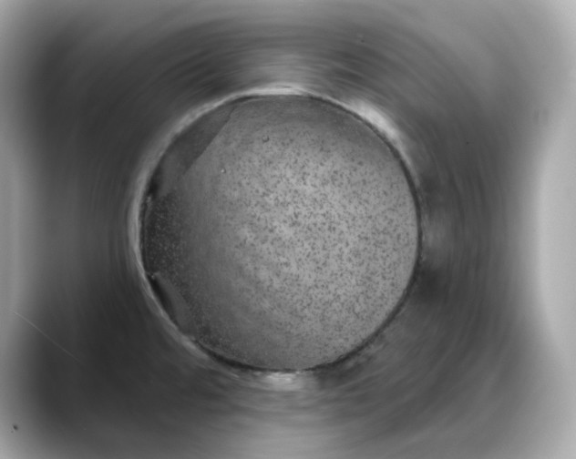 X0000088431480200706051221