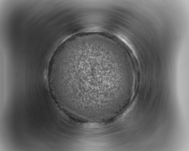 X0000088431481200706051221