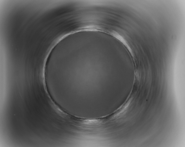 X0000088431482200706051221