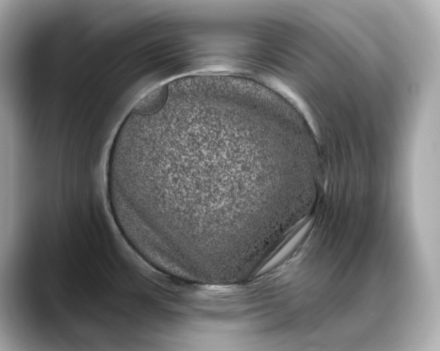 X0000088431483200706051221