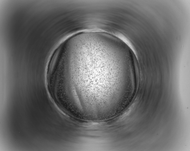 X0000088431485200706051221