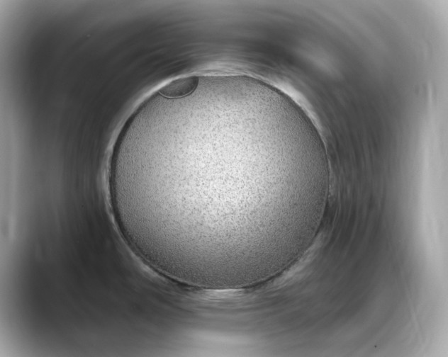 X0000088431486200706051221