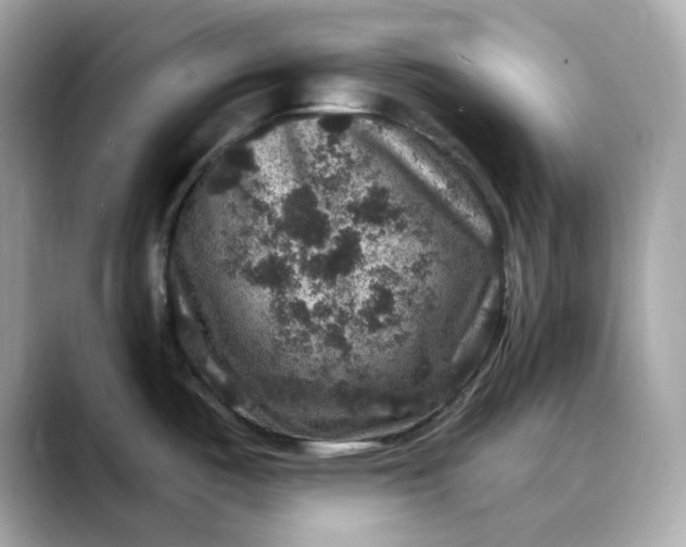 X0000088431487200706051221