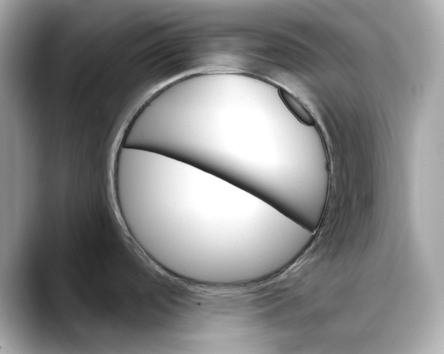 X0000088431488200706051221