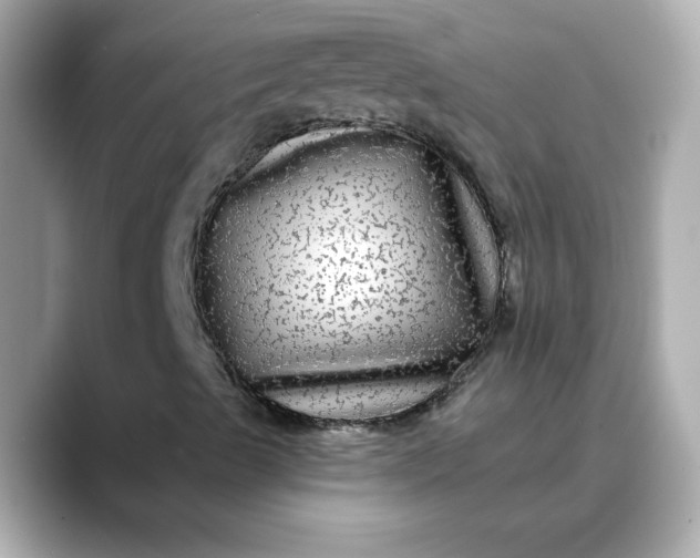 X0000088431489200706051220