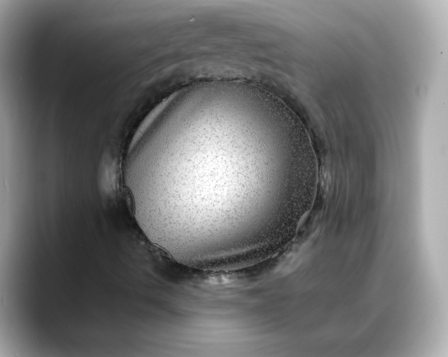 X0000088431490200706051220