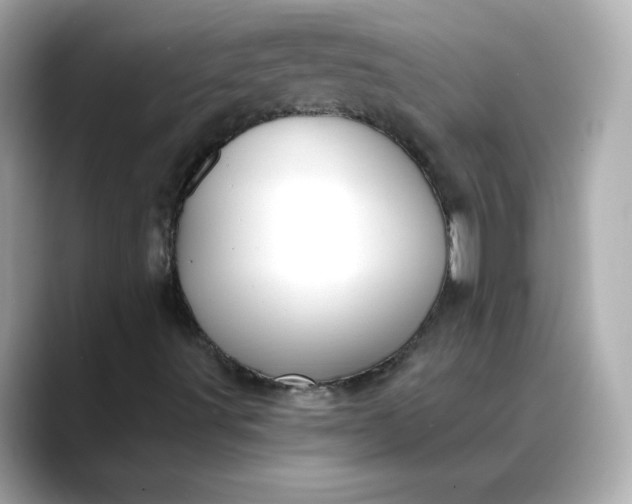 X0000088431491200706051220