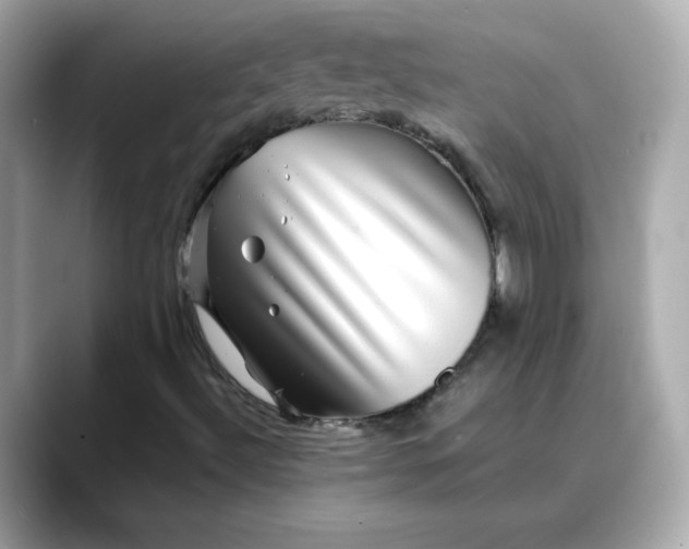 X0000088431492200706051220