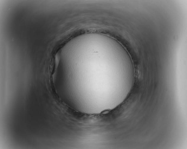 X0000088431493200706051220