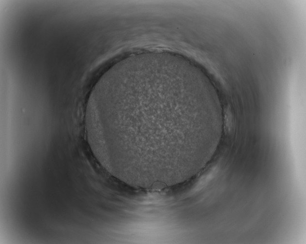 X0000088431494200706051220