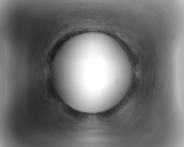 X0000088431495200706051220