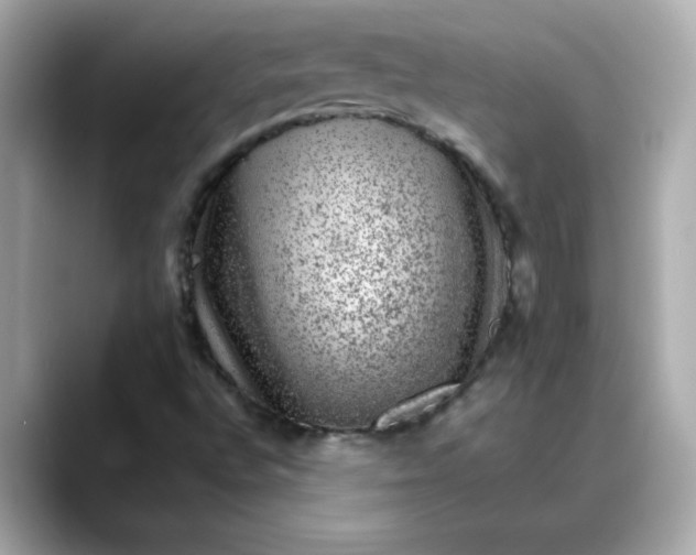 X0000088431496200706051220