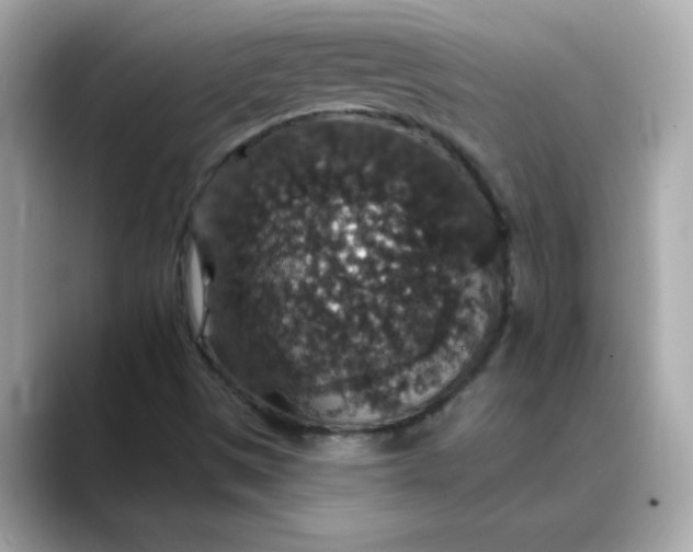 X0000088431497200706051220