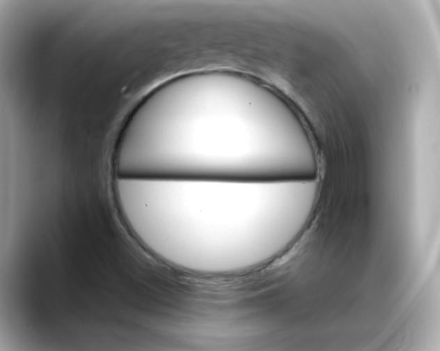 X0000088431500200706051220