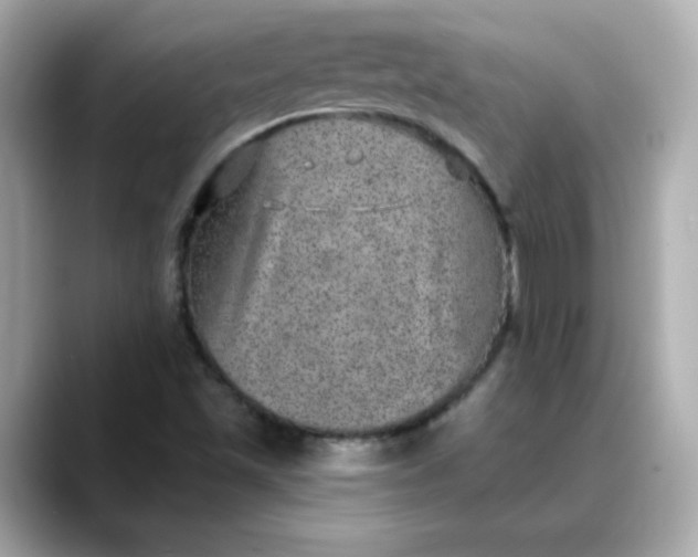 X0000088431501200706051220