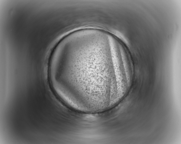 X0000088431504200706051220