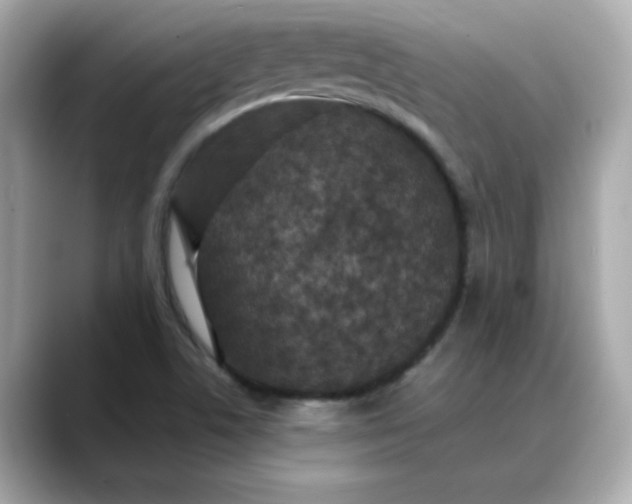 X0000088431506200706051221