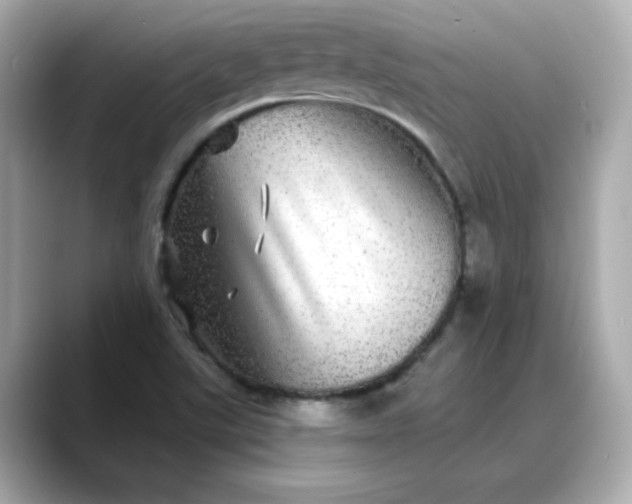 X0000088431507200706051221