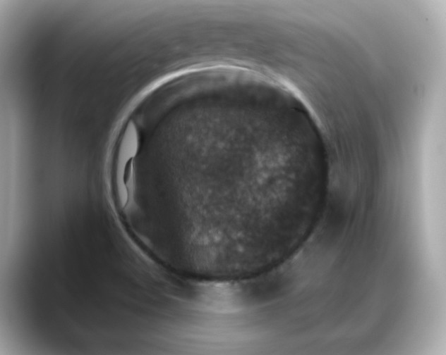 X0000088431508200706051221