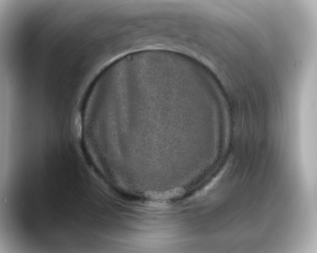 X0000088431509200706051221