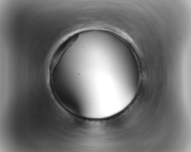 X0000088431512200706051221