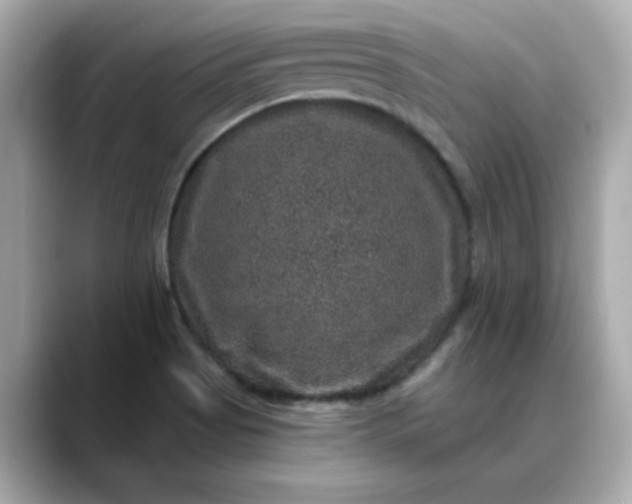 X0000088431513200706051221