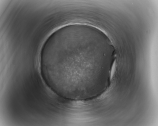 X0000088431515200706051221