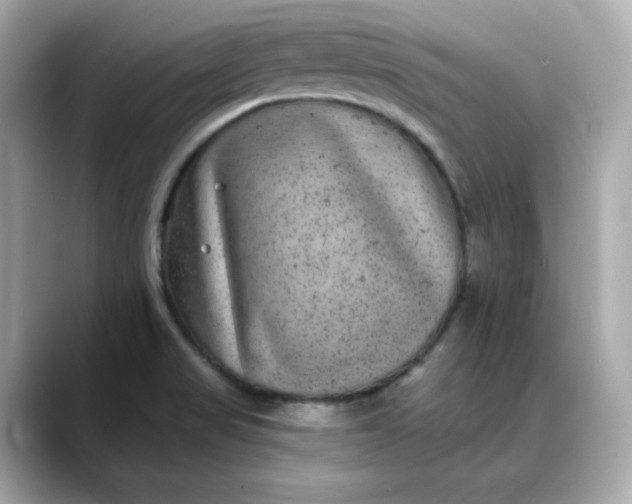 X0000088431517200706051221