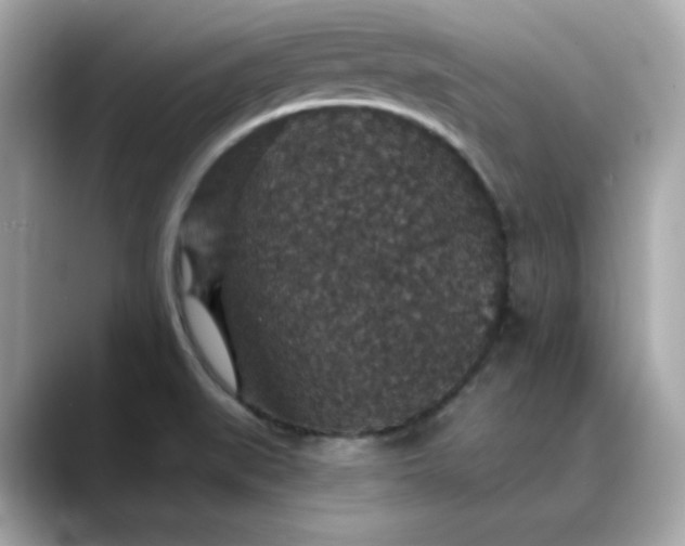 X0000088431519200706051221