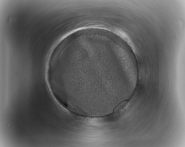 X0000088431520200706051221