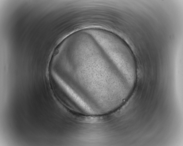 X0000088431521200706051221